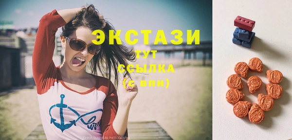 мдпв Пестово