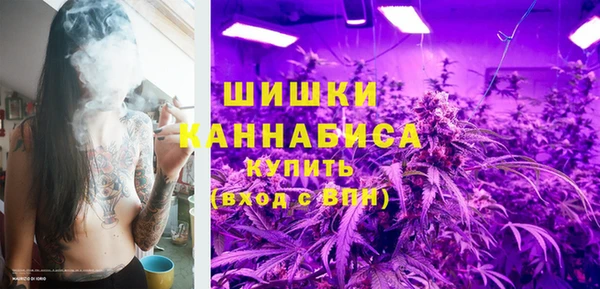 мдпв Пестово