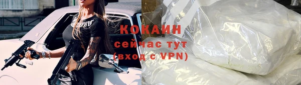 мдпв Пестово