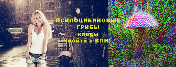 спайс Пересвет