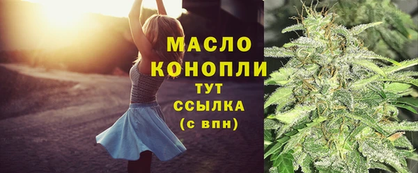 мдпв Пестово