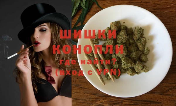 мдпв Пестово